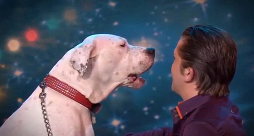 dog singing 